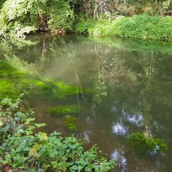 Icône environnement